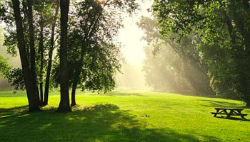 жк живи в курортном официальный сайт