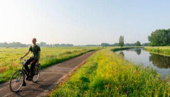 цветной город жилой комплекс спб