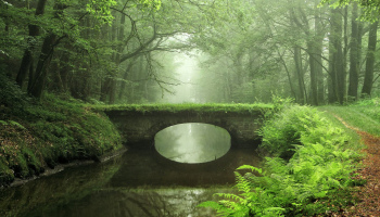 жк ариосто спб отзывы