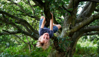 жк три кита