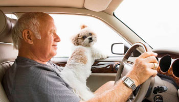 жк чистый ручей соседи