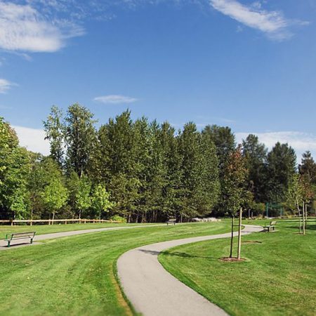 жемчужный каскад в балтийской жемчужине