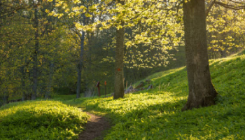 жк жили были купить