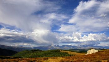 жк материк спб официальный сайт