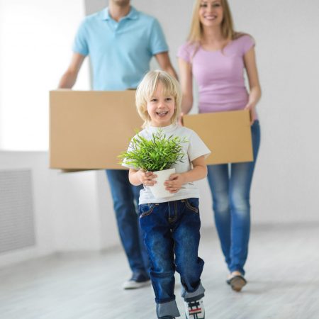 магнифика резиденс отзывы